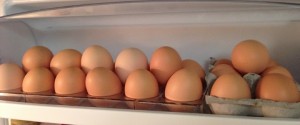 Two dozen fresh eggs