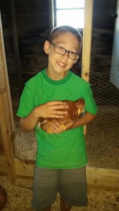 Potato Boy Checking a Pullet