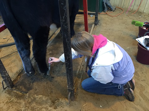 'Gluing up' a leg